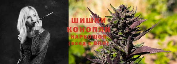 стаф Белокуриха