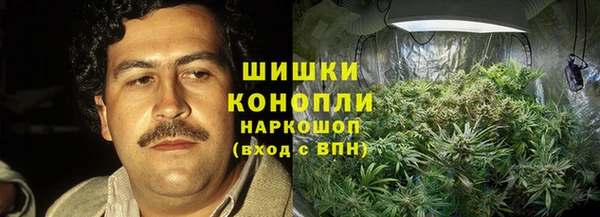 стаф Белокуриха